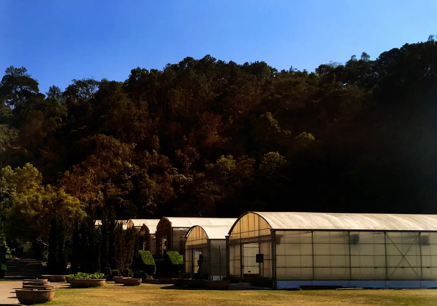 Curso en Cubiertas Eficientes y Ajardinadas 2